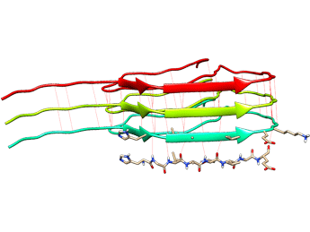 نوین زیست - پپتیدهای مهارکننده تشکیل آمیلوئید فیبریل ها