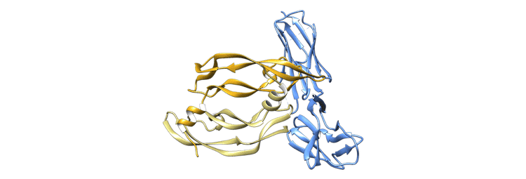طراحی آنتاگونیست و مهار رسپتور طراحی آنتاگونیست و مهار رسپتور