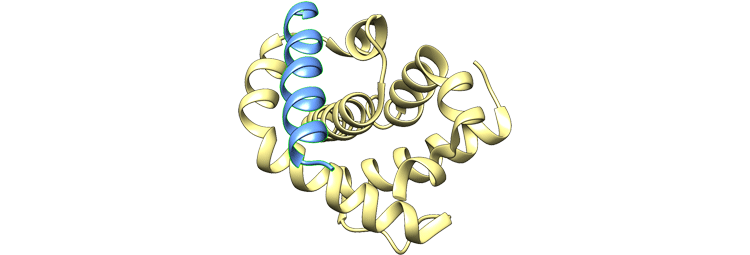 پپتیدهای ضد سرطان