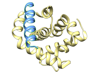 نوین زیست - پپتیدهای ضد سرطان