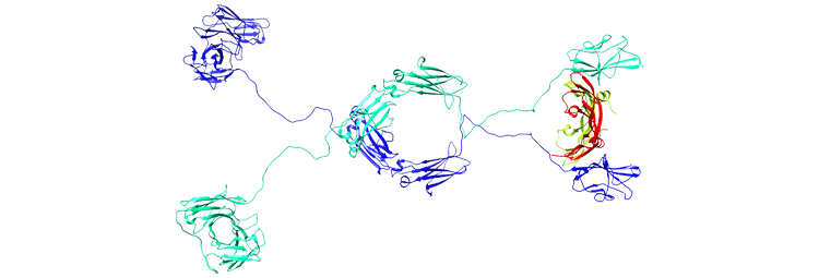 طراحی سازه های کایمریک