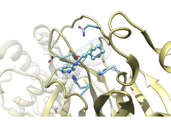 نوین زیست - مهار آنزیم