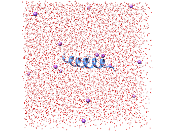 نوین زیست شبیه سازی دینامیک مولکولی پپتید به تنهایی