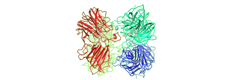افزایش پایداری حرارتی پروتئین افزایش پایداری حرارتی پروتئین